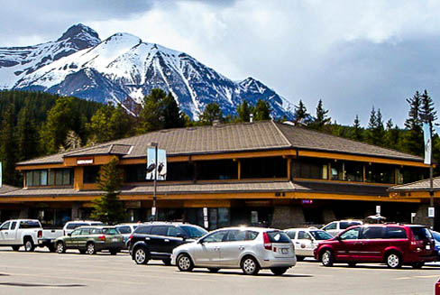 Divisions Samson Native Gallery